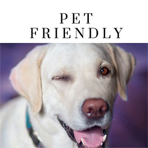 CT Pet Friendly Vacations, CT Dog Friendly Lodging